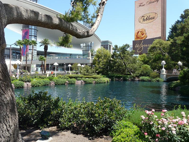 Wynn P1020639.jpg
